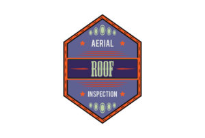 Aerial Roof Inspection