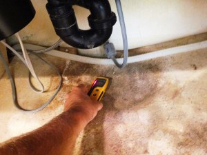 mold testing san diego