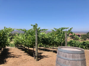 Ramona Wineries