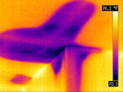 ir-leak-small