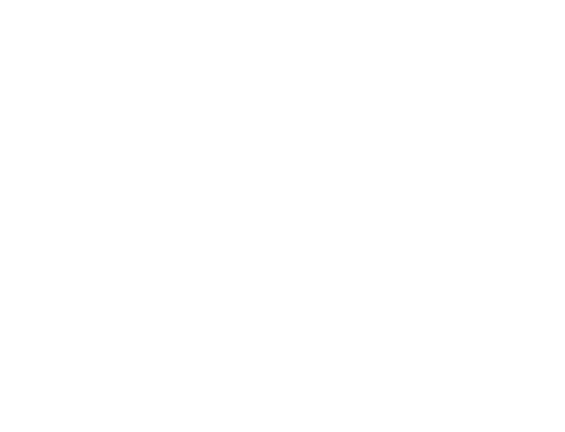 The Real Estate Inspection Company, CCPIA Certified