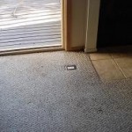Picture of carpet that appears dry